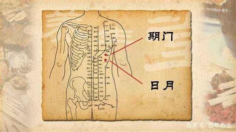 奇門穴位置|人體穴位大全——期門穴：胸脅滿痛，黃疸，嘔吐，呃。